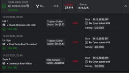 Ekran görüntüsü 2025-02-17 172519.png