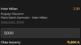 Ekran görüntüsü 2025-05-31 163158.png Ekran görüntüsü 2025-05-31 163158.png