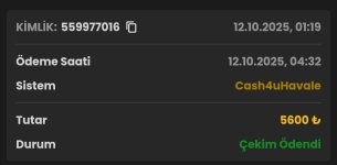 Screenshot_20251012_131131_Samsung Internet.jpg