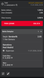 Ekran görüntüsü 2026-01-11 221947.png